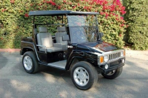 affordable golf cart rental, golf cart rent charlotte golf cart rental 