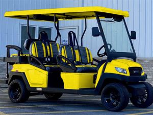 golf cart rental charlotte, charlotte golf cart rental